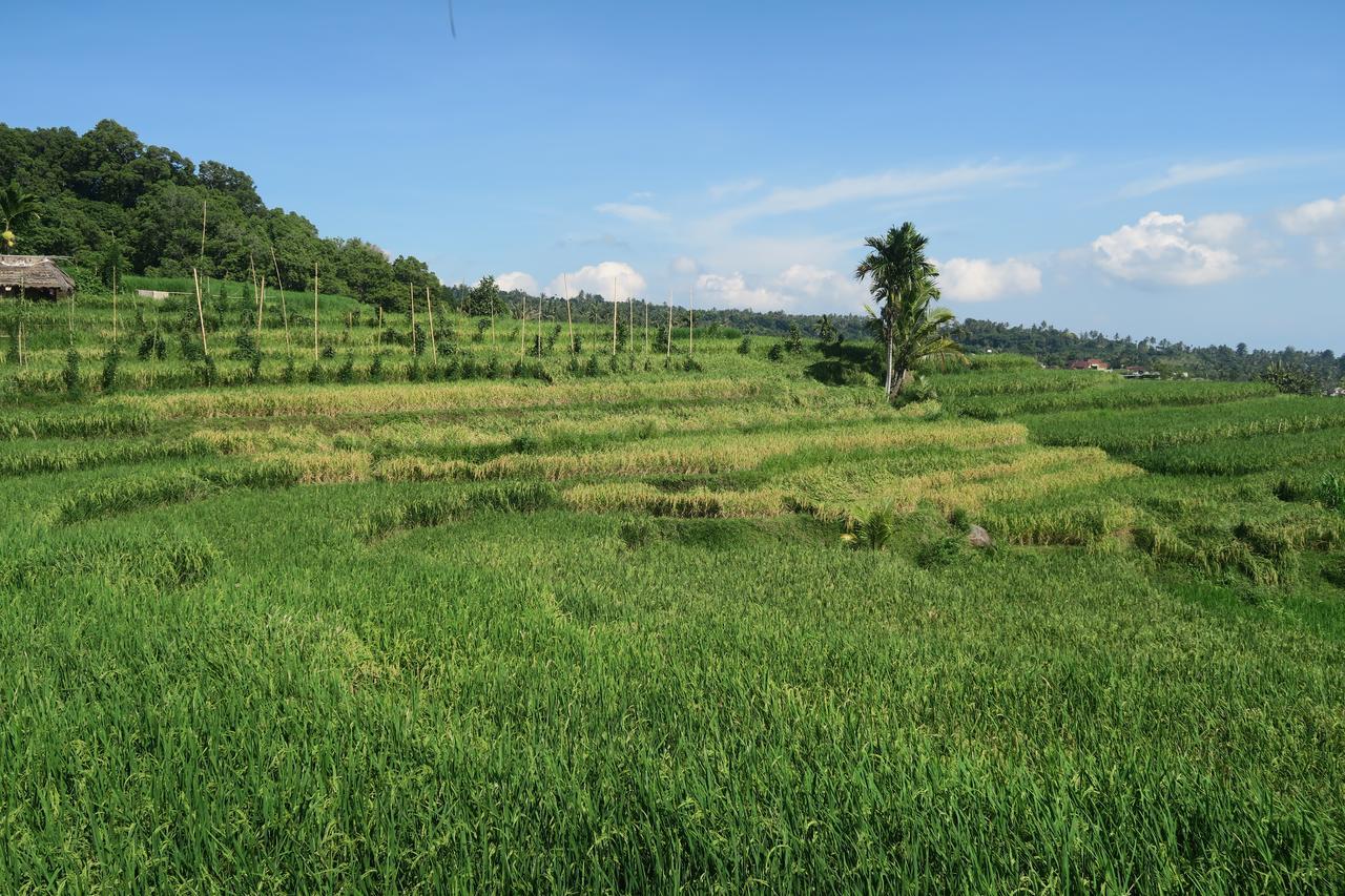 Budaya Kaki Rinjani Senaru Buitenkant foto